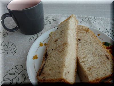 P1050504.jpg