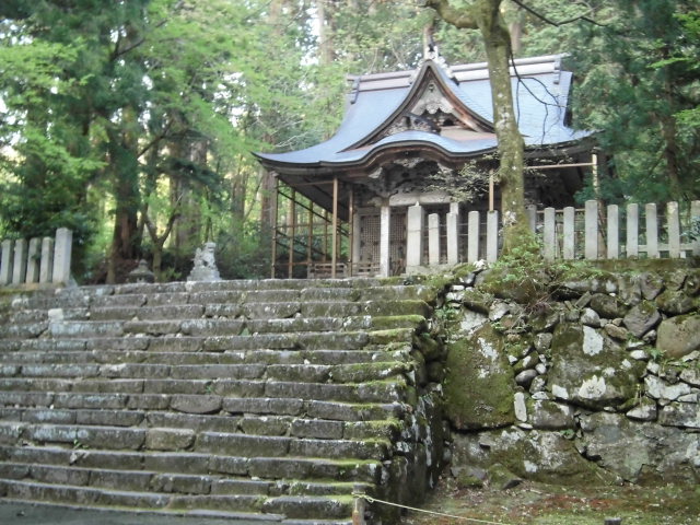 CIMG0052.jpg