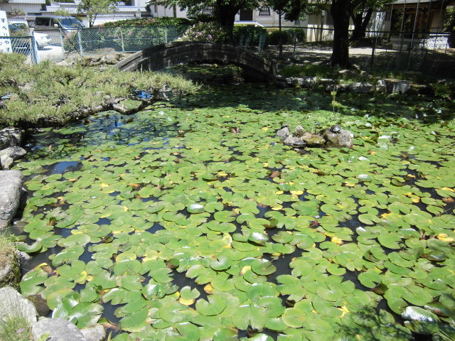 CIMG0088.jpg