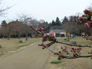 P1000343.jpg