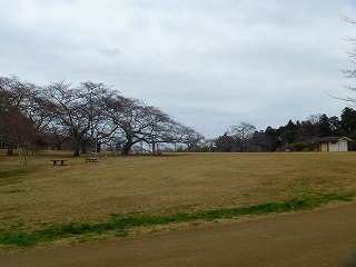 s-P1000314.jpg