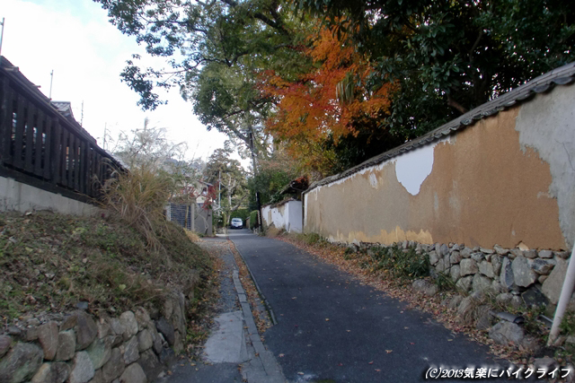 131208shinyakushiji