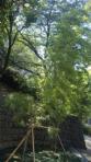 moblog_5b8ee73f.jpg