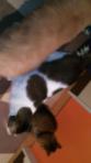 moblog_b222e486.jpg