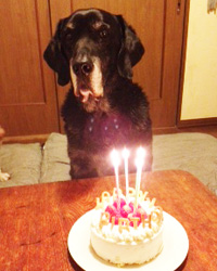 20130327.jpg