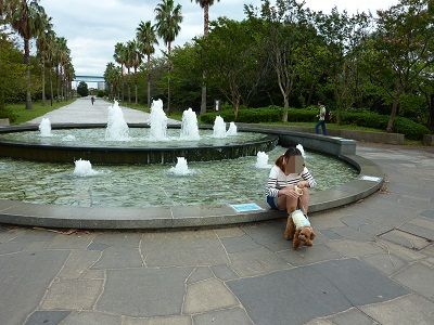 P1110980.jpg