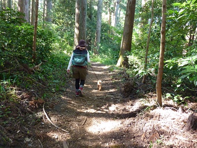 P1120474.jpg