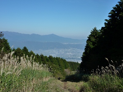 P1120514.jpg