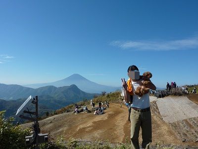 P1120524.jpg
