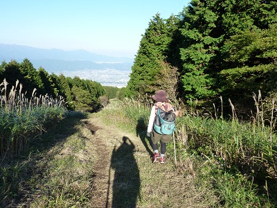 P1120563.jpg