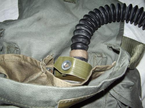 pSchM41M13.jpg