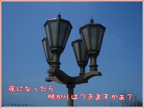 8584.jpg