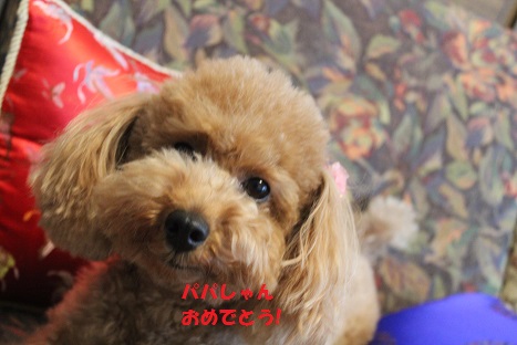 IMG_2460ac.jpg