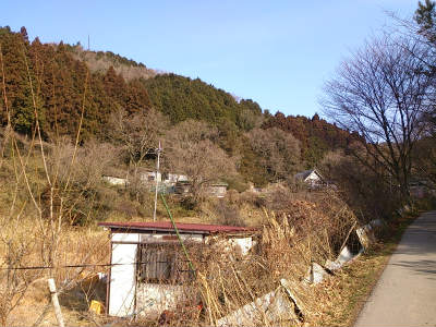 DSC_0020.jpg