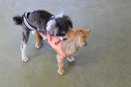 IMG_1637_convert_20110926214521.jpg