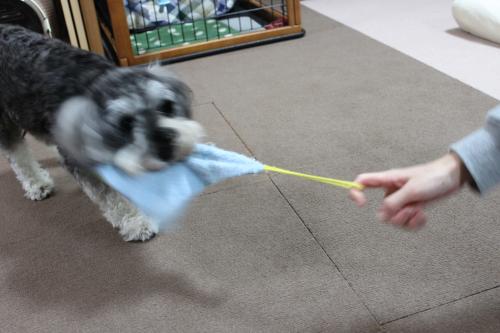 IMG_2118_convert_20111109231502.jpg