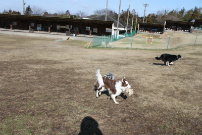 IMG_8003.jpg