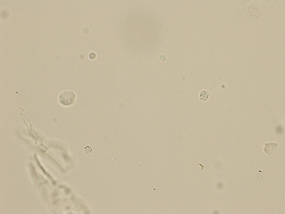 P2050007.jpg