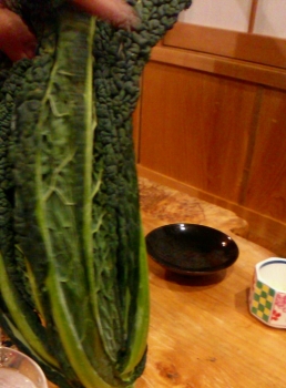 青菜