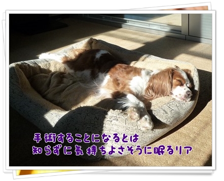 2013020901.jpg