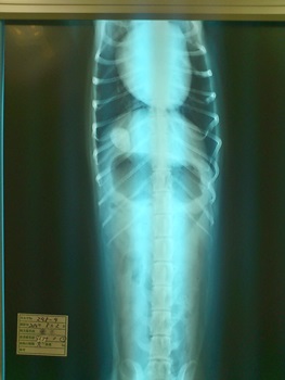 1409_01.jpg