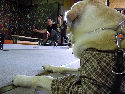 DSCN3778.jpg