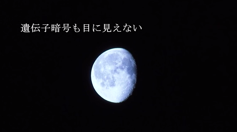 20140927225324a5e.png