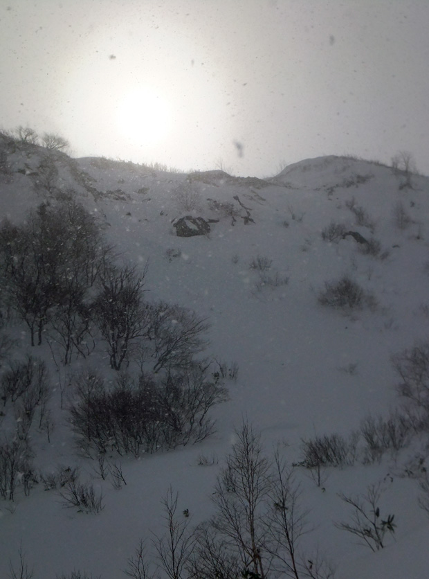 DSCF0161.jpg