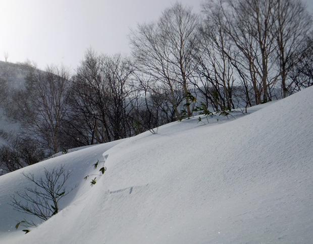 DSCF0165.jpg