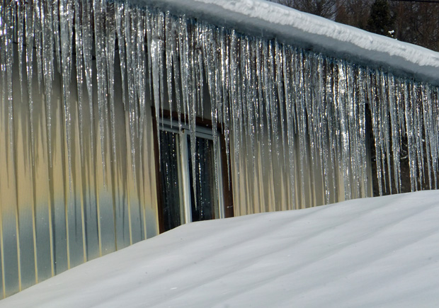 DSCF0172.jpg