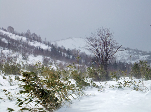 DSCF0213.jpg