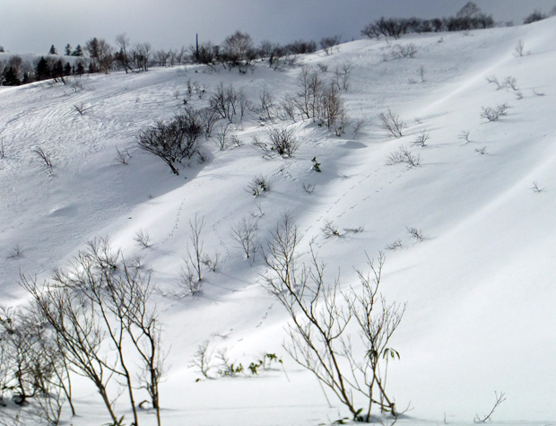 DSCF0220.jpg