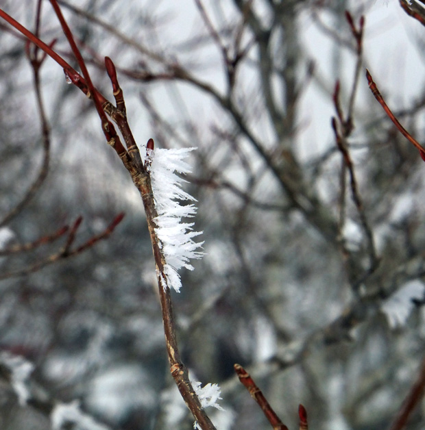 DSCF0230.jpg