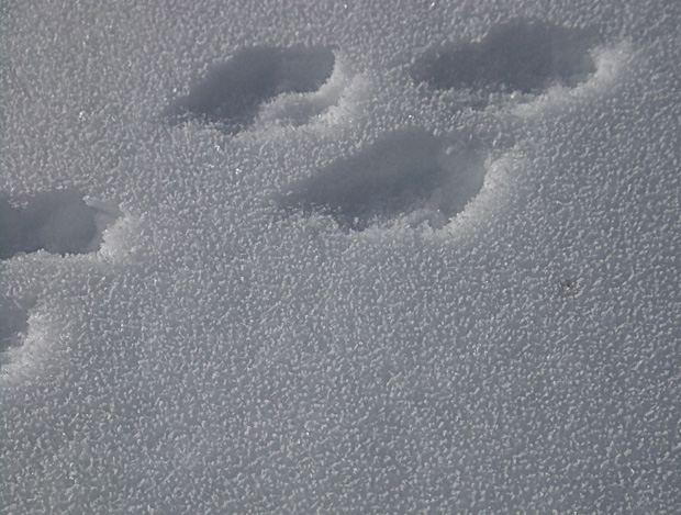 DSCF0234.jpg