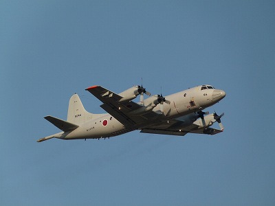 P1360801.jpg
