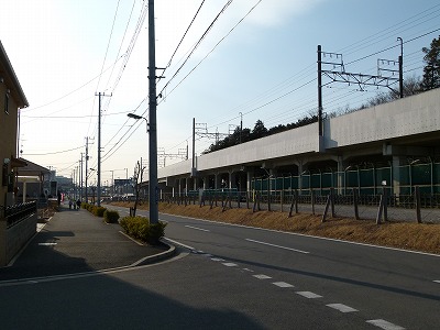 P1360804.jpg