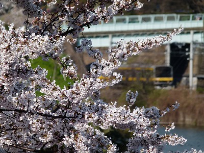 P1430318.jpg