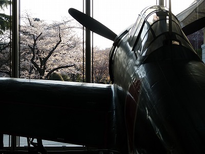 P1430432.jpg