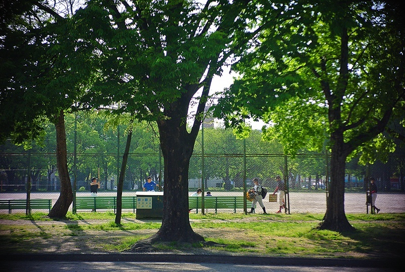 DSC_0047.jpg