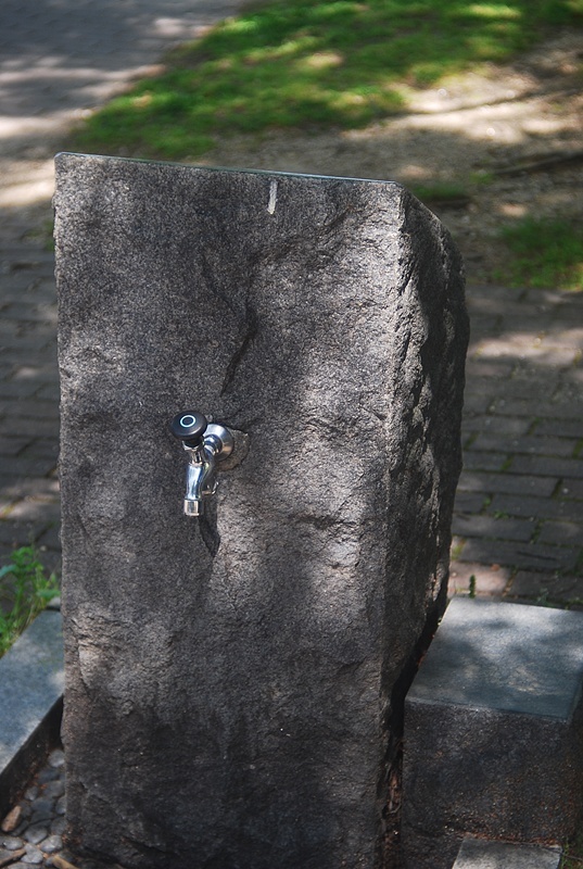 DSC_0076.jpg