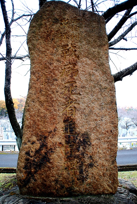 DSC_0118.jpg