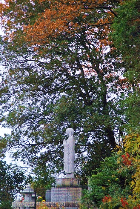 DSC_0140.jpg