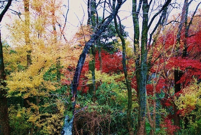 DSC_0257.jpg