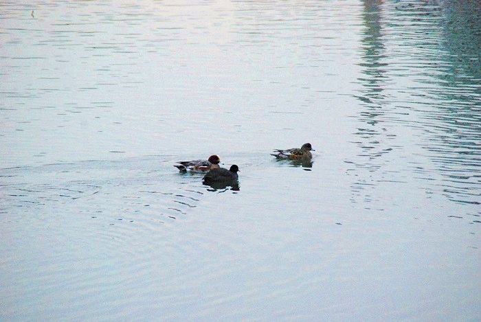 DSC_0271.jpg