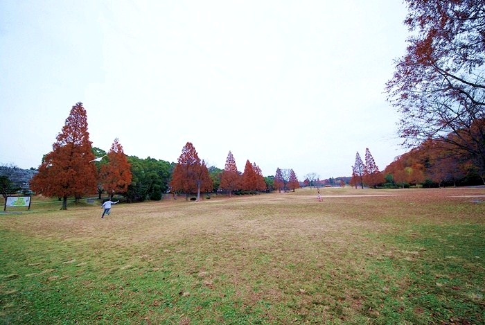 DSC_0274.jpg