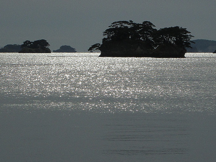 IMG_2358.jpg