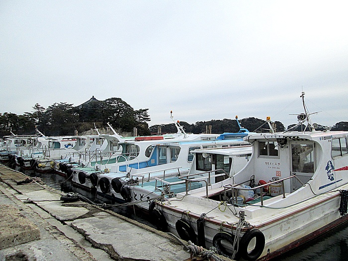 IMG_2361.jpg