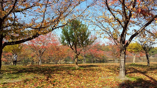 鶴見⑤