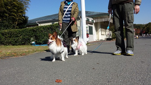 鶴見④