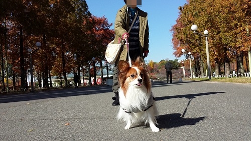 鶴見③